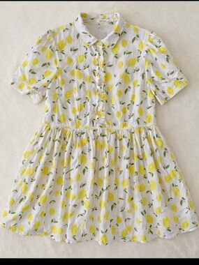 eShakti Lemon Print Dress Woman 2X Pockets Button Front Fit & Flare Cottagecore